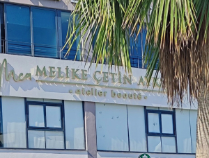 Melike Çetin Aykal'ın iş yerine silahlı saldırı.