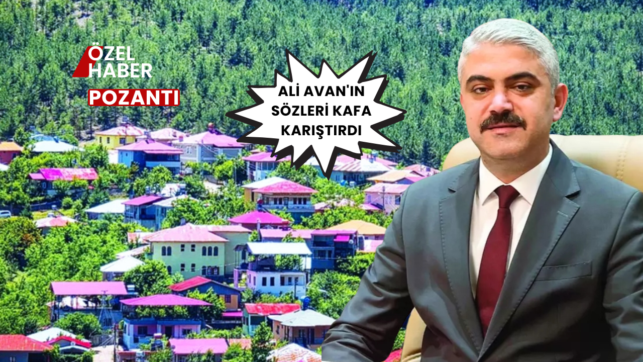 ali_avan_manset2