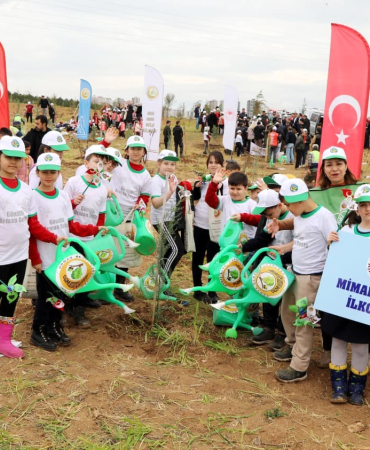 mimar_kemal_01